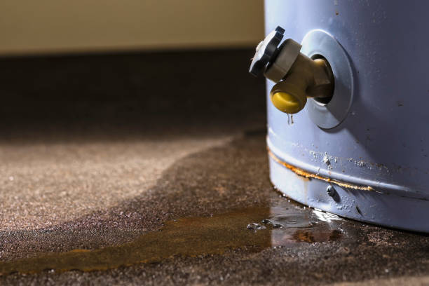 Best Water damage cleanup near me  in Mountain Lake, MN
