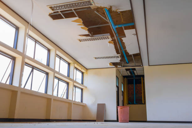 Best 24/7 water damage repair  in Mountain Lake, MN