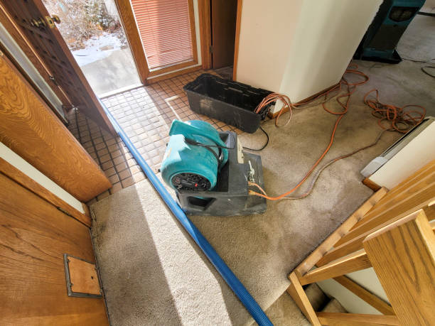Best Flooded house restoration  in Mountain Lake, MN
