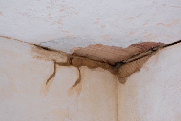 Best Basement water damage restoration  in Mountain Lake, MN