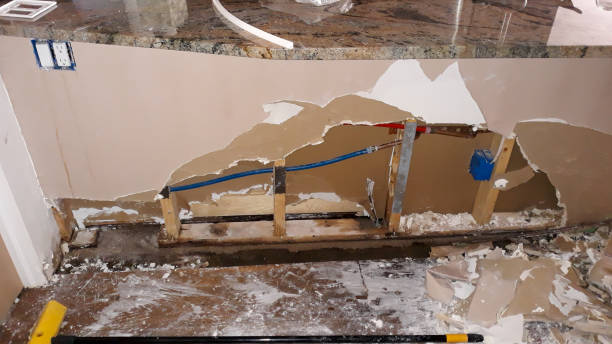 Best Water damage restoration mold remediation  in Mountain Lake, MN