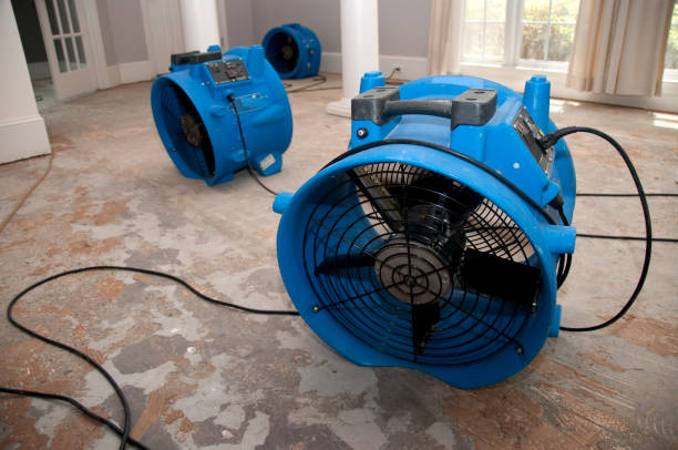 Mountain Lake, MN Water damage restoration Company