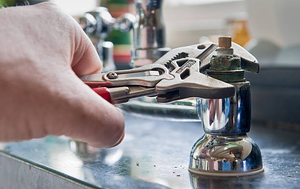Best Local water damage restoration  in Mountain Lake, MN