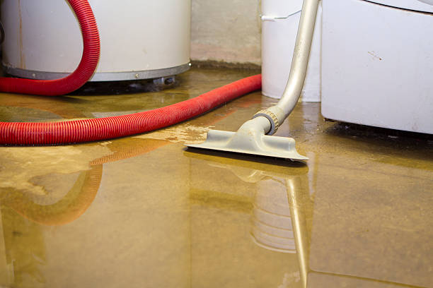 Best Flood restoration services  in Mountain Lake, MN