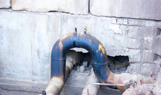 Best Water damage contractors near me  in Mountain Lake, MN