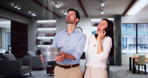 Best Fire Damage Restoration  in Mountain Lake, MN